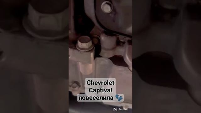 Chevrolet Captiva!повеселила и..расстроила! смотреть онлайн