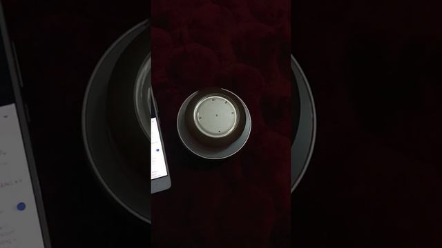 [VHQ] Review Loa Bluetooth Honor Thiên Nga AM08 giá 99k смотреть онлайн