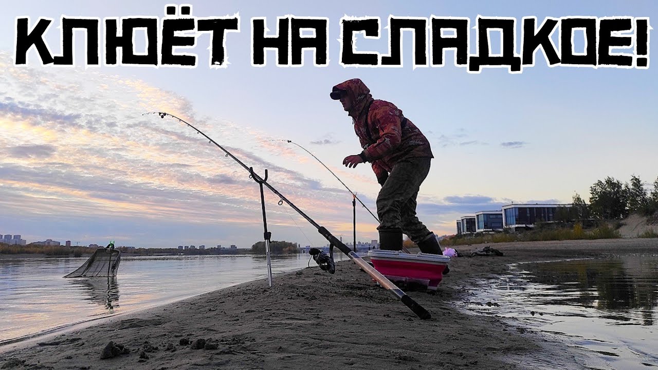 СЛАДКАЯ ЖИЖА СРАБОТАЛА! Речной МЕЛЯК раздает КРУПНЯК!? Рыбалка осенью 2023. смотреть онлайн