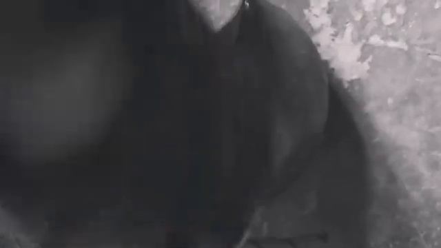 физкульт привет от компании верхотура! отжимания на брусьях с дополнительным отягощением ! смотреть онлайн