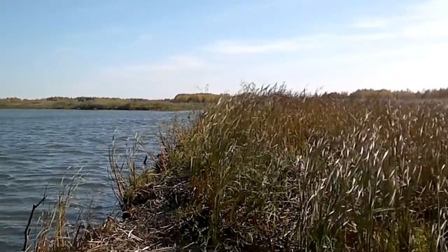 Обь. Алтайский край, острова выше Крутихи смотреть онлайн