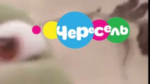 ВСЕ АНИМАЦИИ ЛОГОТИПА ЧЕРЕСЕЛЬ!