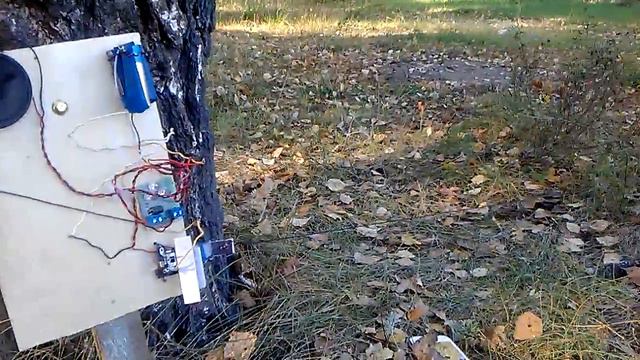 Тест сигнализации №1 смотреть онлайн