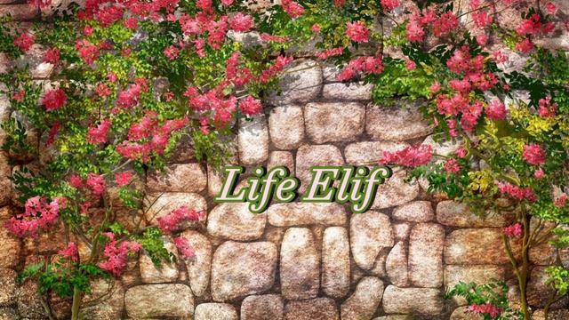 Life Elif