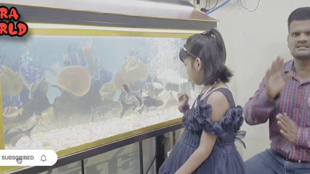 Fish Tank Aqurium Big Size Info With Princess Iqra All Shark Gold Fish Koi Cat Red Cap Angel