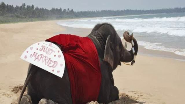 Шри-Ланка, Galle District, Ахунгалла - Heritance Ahungalla 5-Star