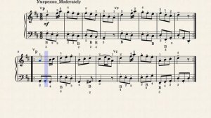 Модерато_И.С.Бах / Moderato_J.S.Bach (accordion)