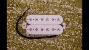 Test FLEOR Alnico 5 Humbucker