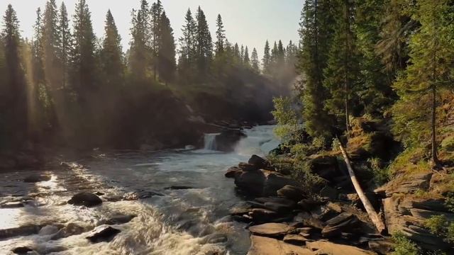 ?Таинственная деревня из прошлого! Тайга не раскрывает свои тайны! Случай в тайге! смотреть онлайн