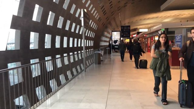 Paris Charles de Gaulle Airport Terminal 2F Tour смотреть онлайн