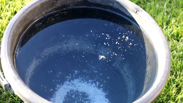 Почему желтеет чеснок.Чем подкормить, чтобы вырастить крупные головки - Дом и Сад, Александра Милле смотреть онлайн