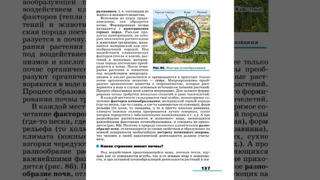 География 8к (Алексеев) §20 Почвы - 