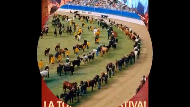 Festivals Around the World-GVC1410 смотреть онлайн