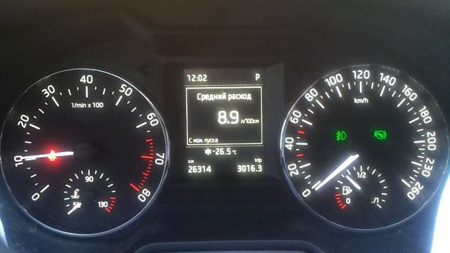 Запуск Skoda Octavia A7 1.4 DSG -26,5 смотреть онлайн
