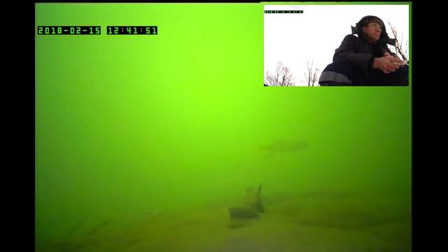 подводное видео рыбалки смотреть онлайн