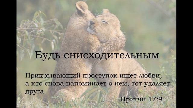 Законы настоящей дружбы смотреть онлайн