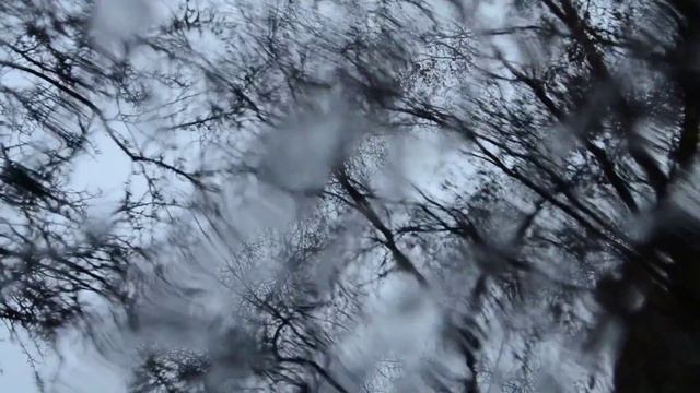 Winter Leaves - Paige Talbot смотреть онлайн