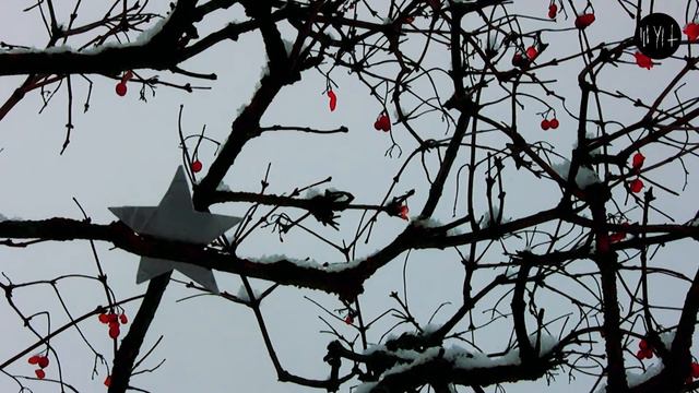 Зимой звезда примёрзла к ветке. Красные ягоды. смотреть онлайн
