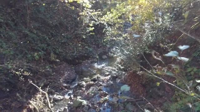 Серебряный водопад, Коса Русалки, Веселый Гном, Косматый. Цепочка водопадов в реликтовом лесу..mp4 смотреть онлайн