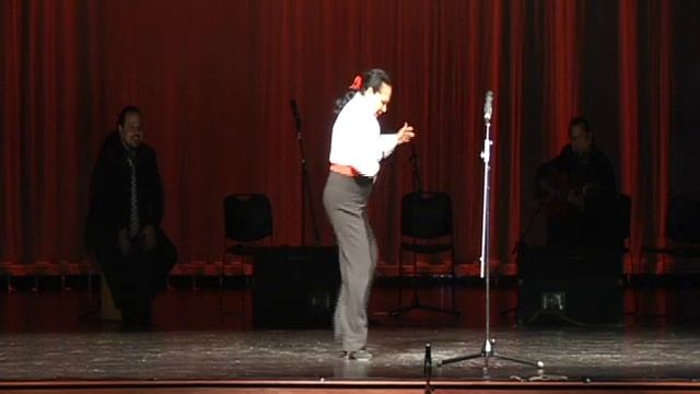 Live On Stage with Lucio Fernandez: Flamenco смотреть онлайн