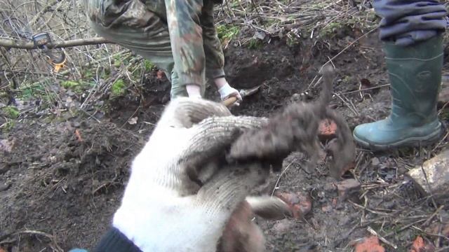 Итоги шурфа за два дня. Розыгрыш монеты. смотреть онлайн