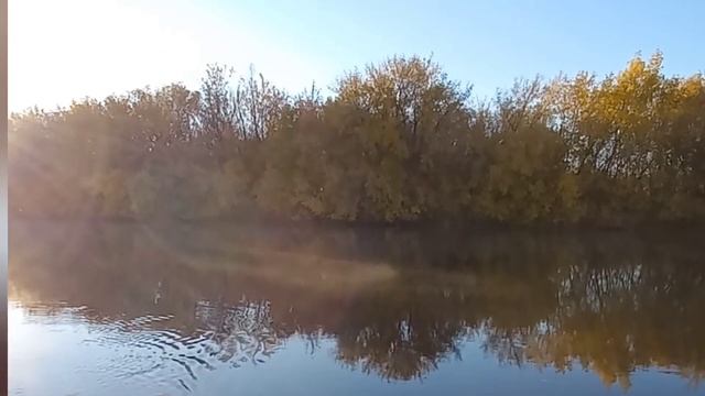 Ловля налима осенью. Поиск налимьих троп . 1 часть . Рыбалка 2021 . Налим 2021 . смотреть онлайн