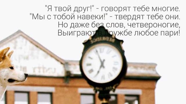ost hachiko. хатико смотреть онлайн