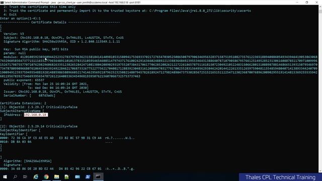 Thales Crypto Command Center Training - Deploy an NTLS Service смотреть онлайн