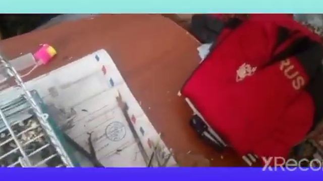 Хомячки серия 2 переезд без озвучки смотреть онлайн