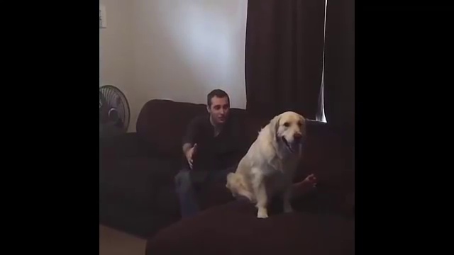 Тест на доверие смотреть онлайн