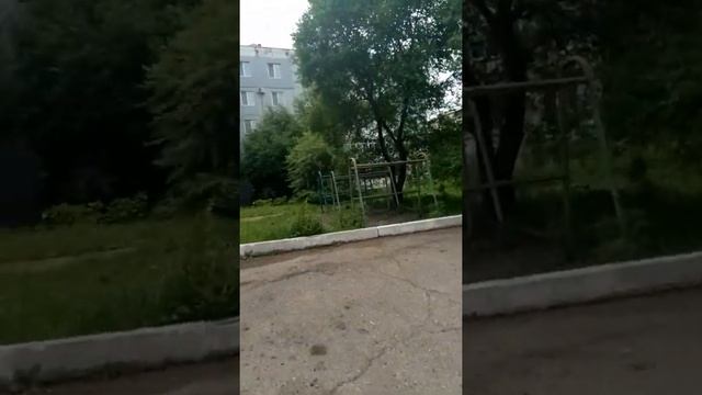 Мы с подругой вернули котёнка матери(история+как выглядит котёнок) смотреть онлайн