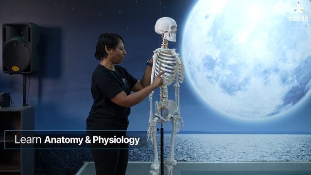 Yoga Teacher Training Course| 200 Hour| Internationally Accredited | @cultfitOfficial смотреть онлайн