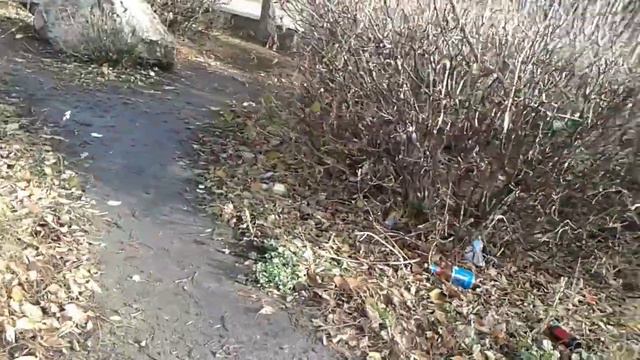 ул карпинского!сквер!мусор!бутылки смотреть онлайн