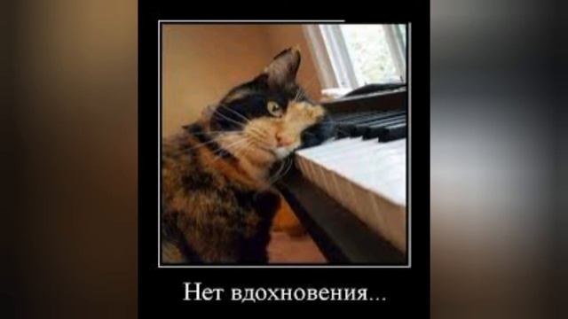 Коты,мемы,собаки,карттночки и смех.... смотреть онлайн