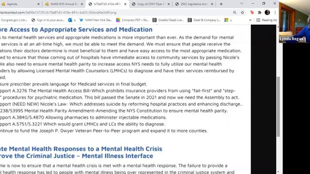 Advocacy Issues-2021 NAMI-NYS Education Conference смотреть онлайн