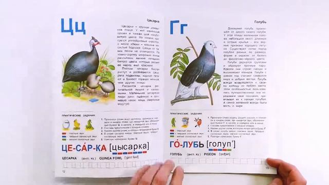 Тетрадь для развития детей "Домашние птицы" серии «Окружающий мир». Обзор. смотреть онлайн