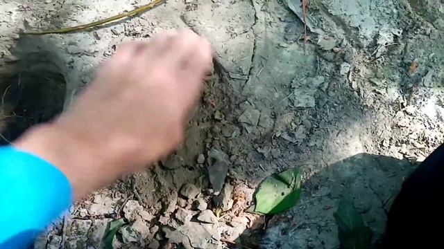 Чем быстрее можно выкопать яму/камень, деревяшка или лопатка/Alexandr SD смотреть онлайн