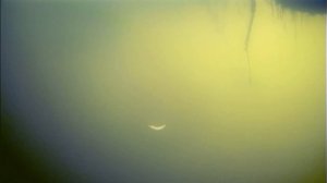 Уловистая снасть на форель.Поклевка форели подводная съемка.Маггот