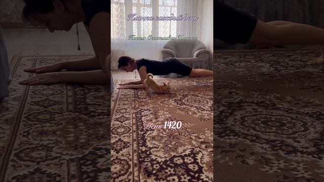 Планка 1420 день смотреть онлайн