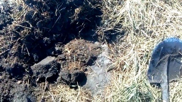 клон пи в начало пробная версия смотреть онлайн