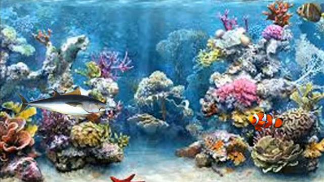 Frank The Fish смотреть онлайн