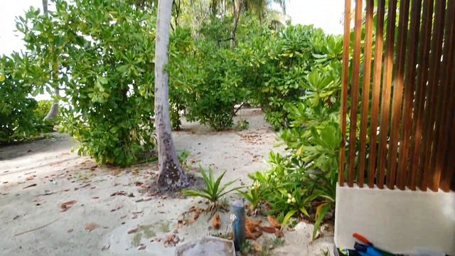 Sun Island Resort Maldives - Sunset Villas, 438, 2021.03 смотреть онлайн