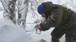 С полем! "Испытание соболем"
