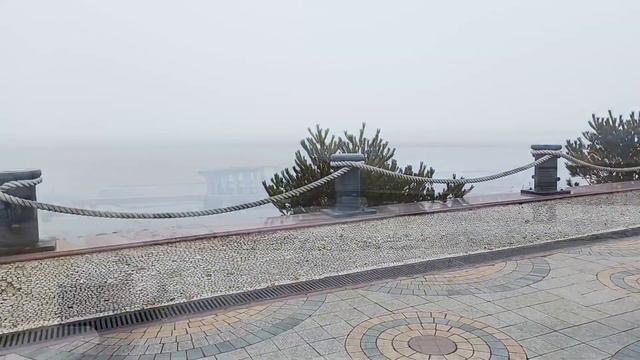 Владивосток. Остров Русский. Прогулка за Приморским Океанариумом. (18 февраля 2024 г) смотреть онлайн
