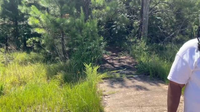TRAVELING WITH MY IN-LAWS TO ALABAMA| SOUTHERN HOSPITALITY| COUNTRY LIFE #alabama #country #family смотреть онлайн