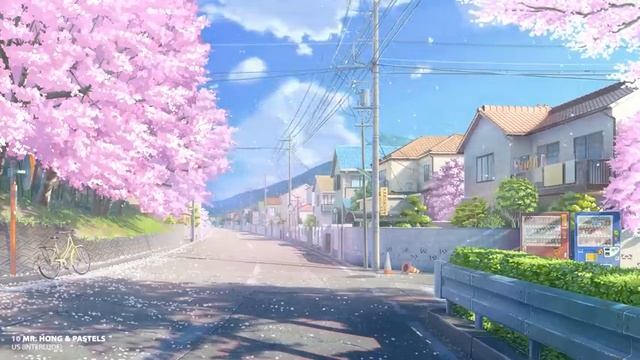 Cherry Blossom. [lofi / Jazzhop / Chill Mix]