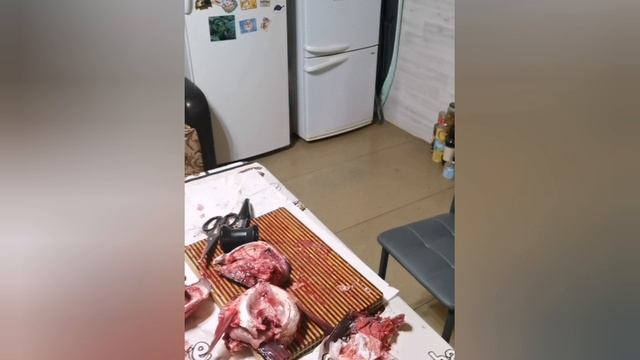 Толстолобик на 5 кг.