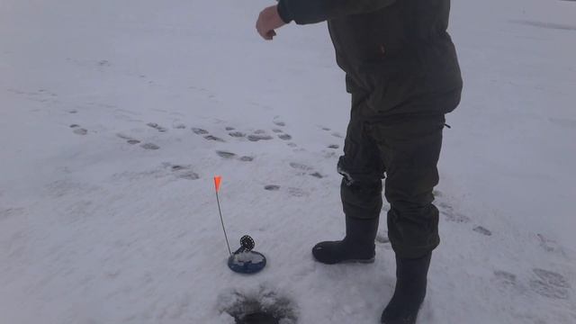 Зимняя рыбалка на Селигере. Жерлицы и поплавочка. смотреть онлайн