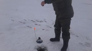Зимняя рыбалка на Селигере. Жерлицы и поплавочка.