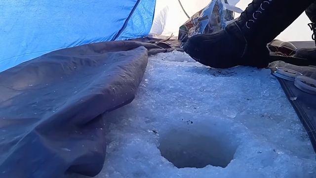 Рыбалка на плотву в минус -35 смотреть онлайн
